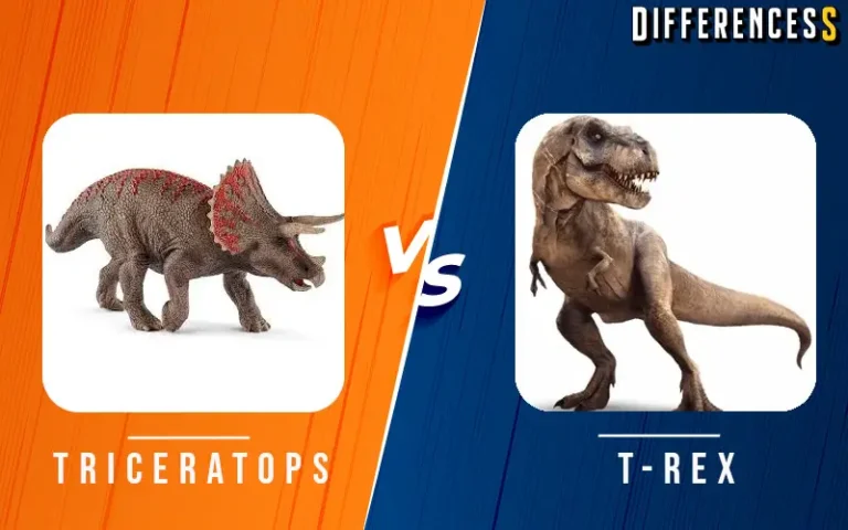 Triceratops vs Tyrannosaurus