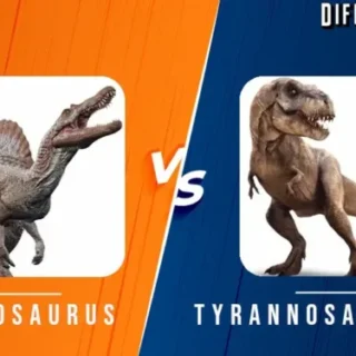 Spinosaurus vs Tyrannosaurus