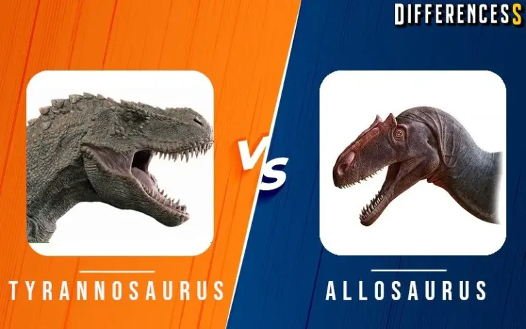 Allosaurus vs Tyrannosaurus Differences and Comparison