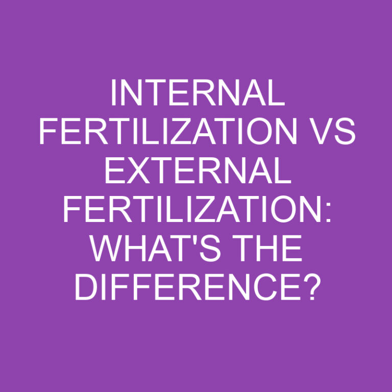 Internal Fertilization Vs External Fertilization: What’s the Difference?