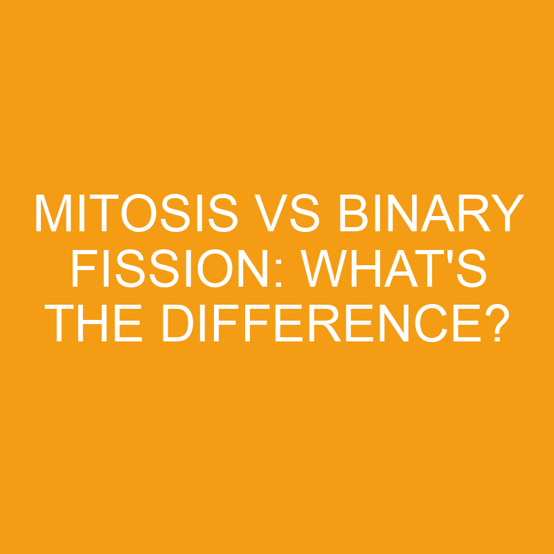 mitosis vs binary fission whats the difference 3231