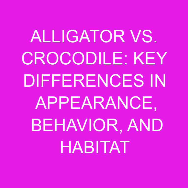 Alligator vs. Crocodile: Key Differences in Appearance, Behavior, and Habitat