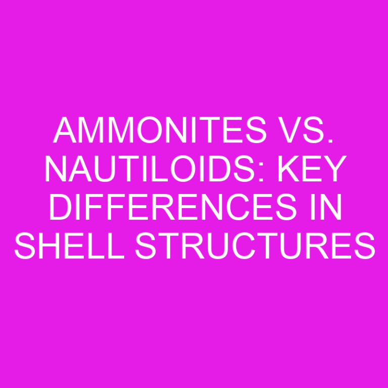 Ammonites vs. Nautiloids: Key Differences in Shell Structures