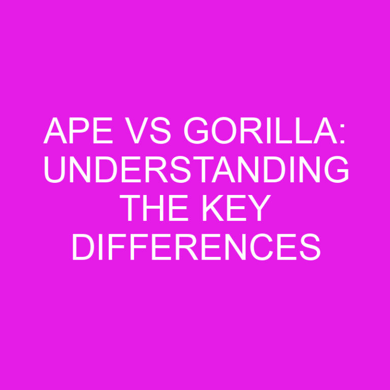 Ape vs Gorilla: Understanding the Key Differences