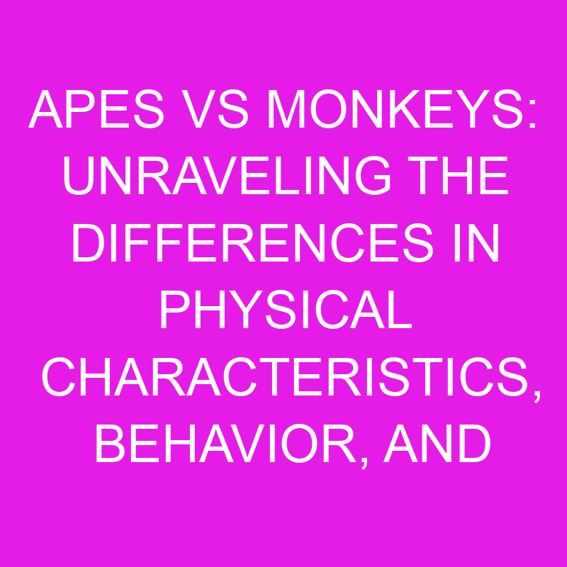 apes vs monkeys unraveling the differences in physical characteristics behavior and social structures 11905