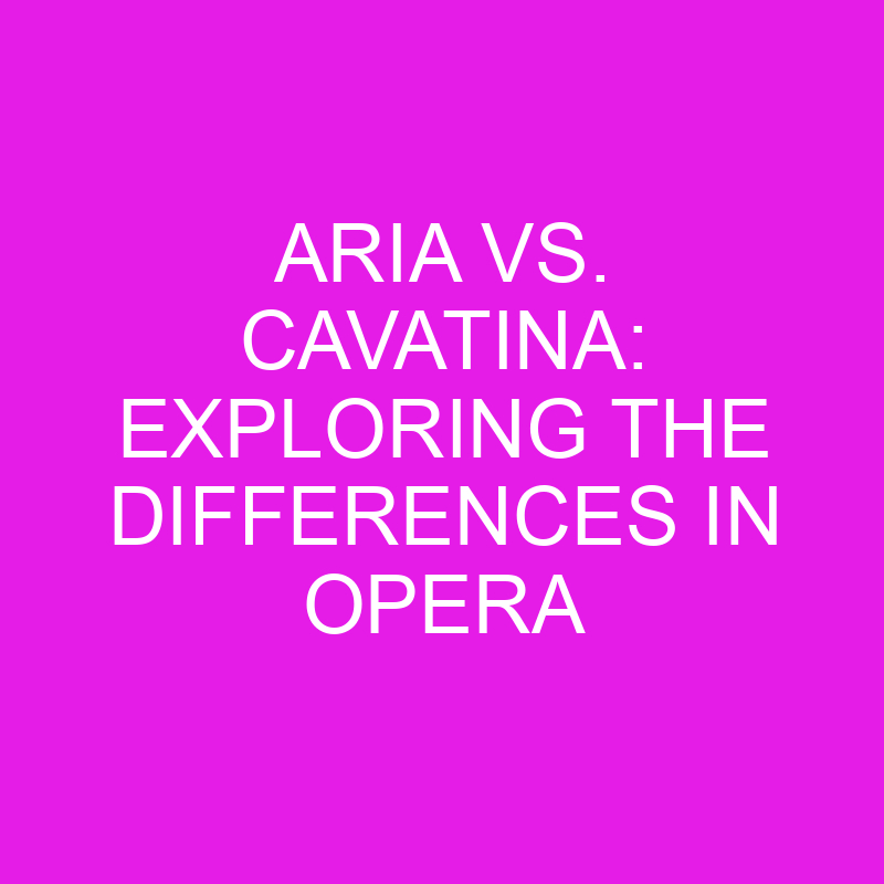 aria vs cavatina exploring the differences in opera 10724