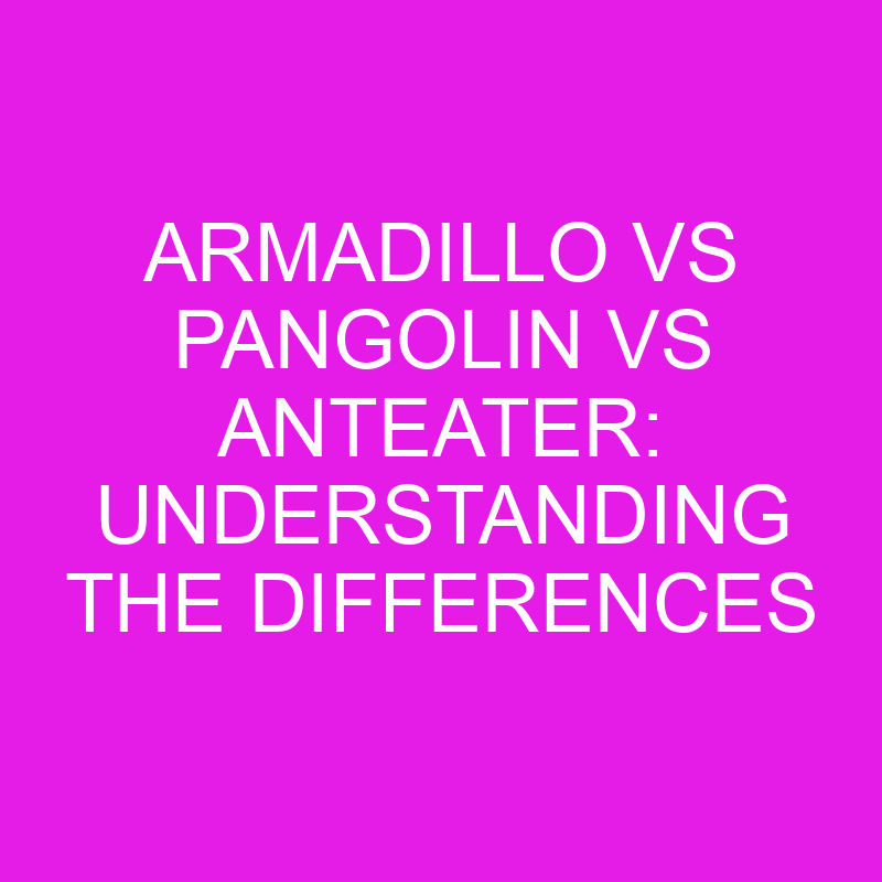 armadillo vs pangolin vs anteater understanding the differences 11931