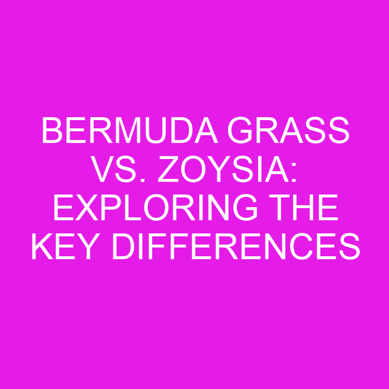 bermuda grass vs zoysia exploring the key differences 12006