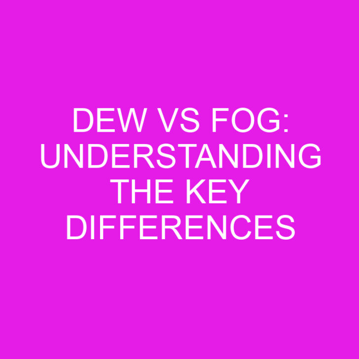 Dew vs Fog: Understanding the Key Differences