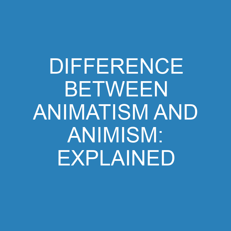 difference between animatism and animism explained 13777 1