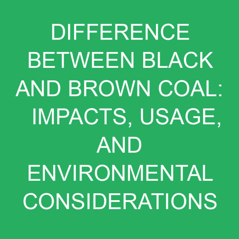 Difference Between Black and Brown Coal: Impacts, Usage, and Environmental Considerations