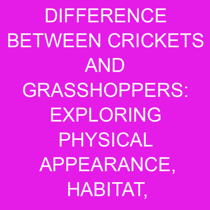 Crickets and Grasshoppers: Physical Appearance, Habitat, Diet, and More