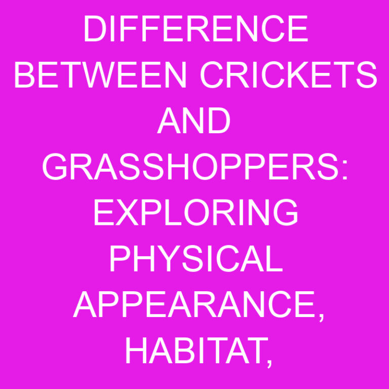 Crickets and Grasshoppers: Physical Appearance, Habitat, Diet, and More