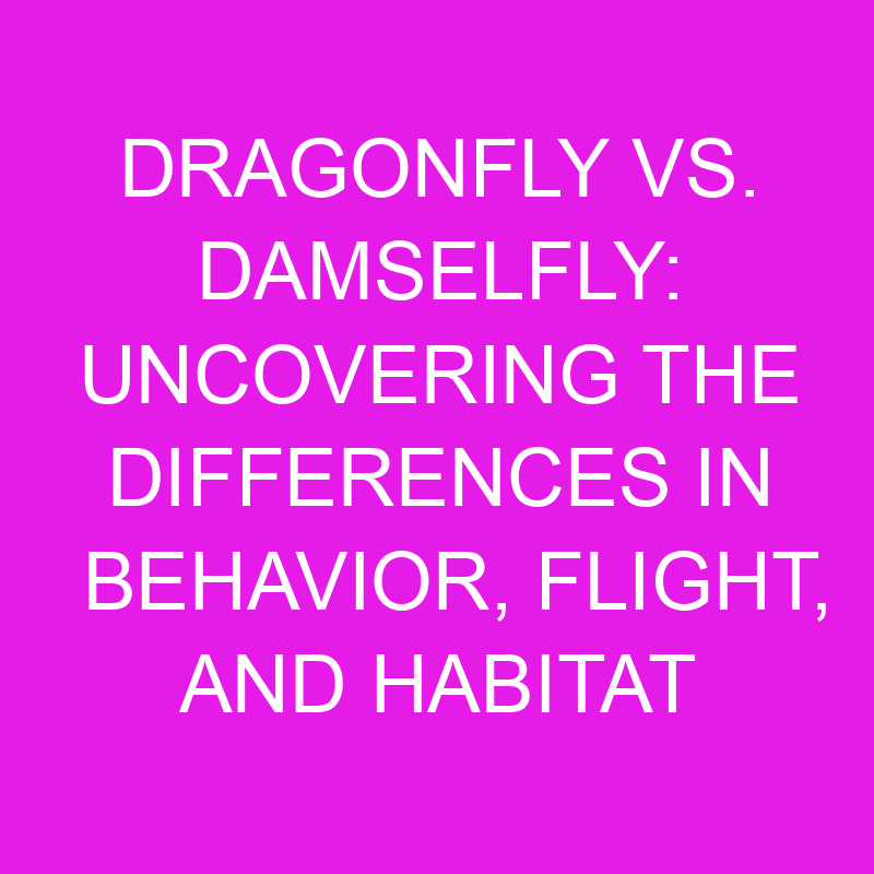 dragonfly vs damselfly uncovering the differences in behavior flight and habitat 11906