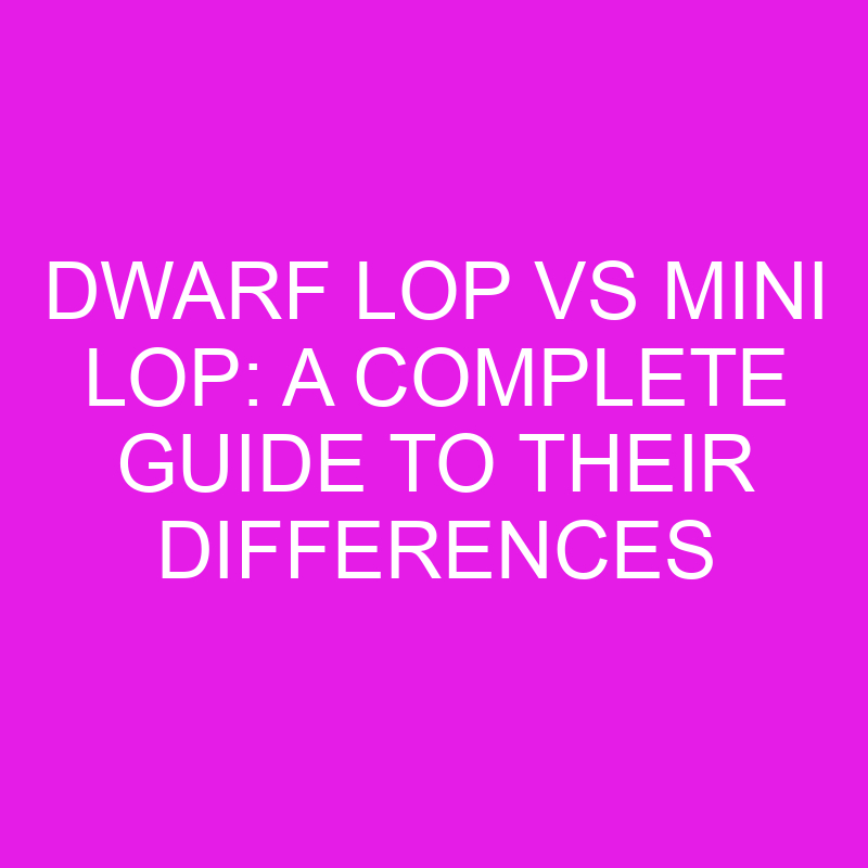 dwarf lop vs mini lop a complete guide to their differences 11972