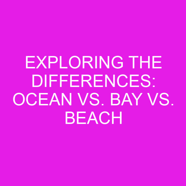Exploring the Differences: Ocean vs. Bay vs. Beach