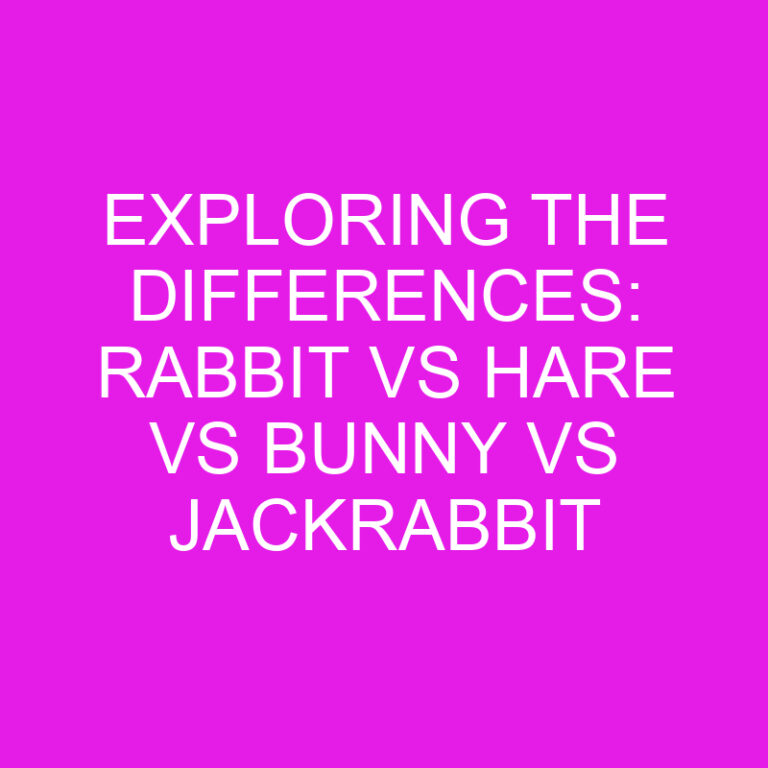 Exploring the Differences: Rabbit vs Hare vs Bunny vs Jackrabbit