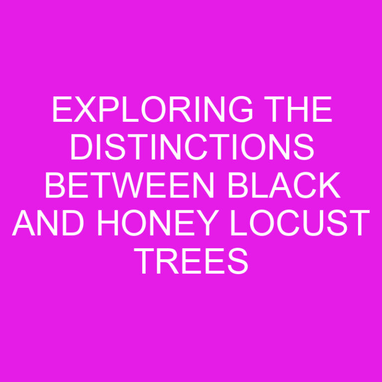 Exploring the Distinctions Between Black and Honey Locust Trees