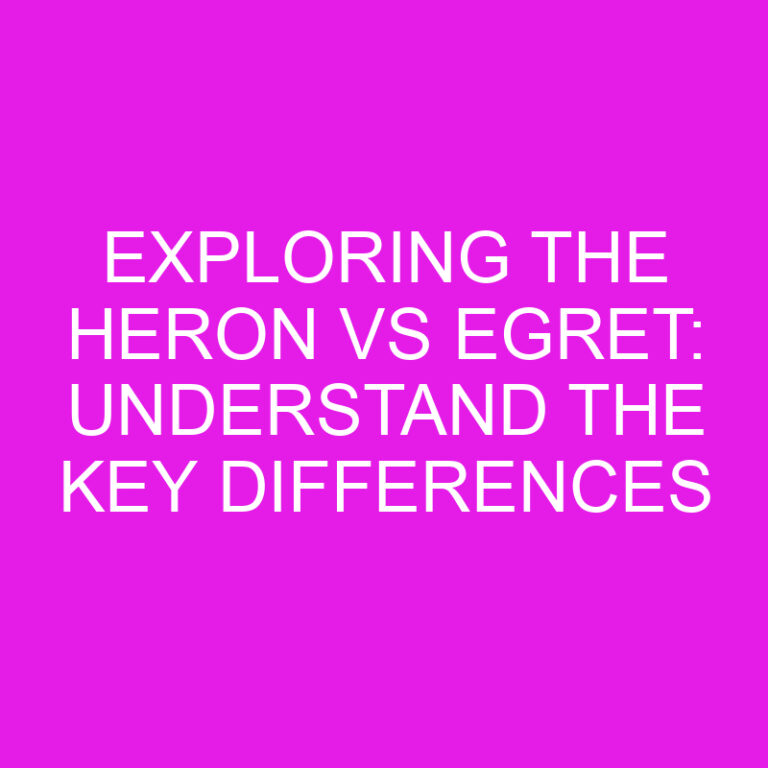 Exploring the Heron vs Egret: Understand the Key Differences