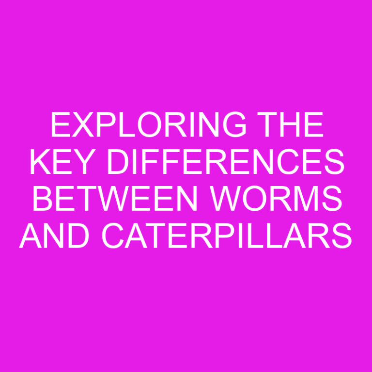 Exploring the Key Differences Between Worms and Caterpillars