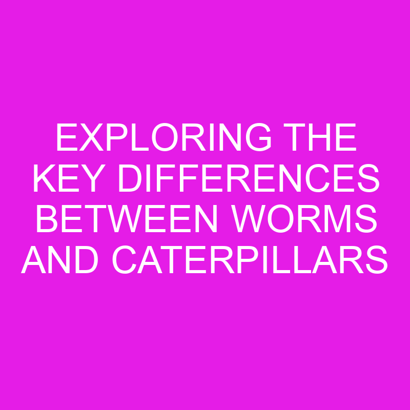 exploring the key differences between worms and caterpillars 11983