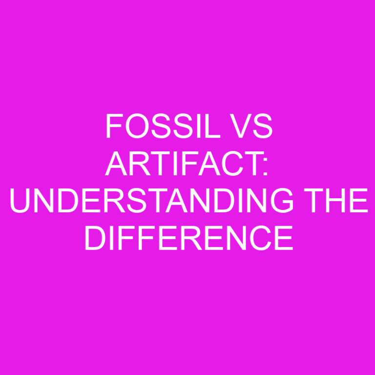 Fossil vs Artifact: Understanding the Difference