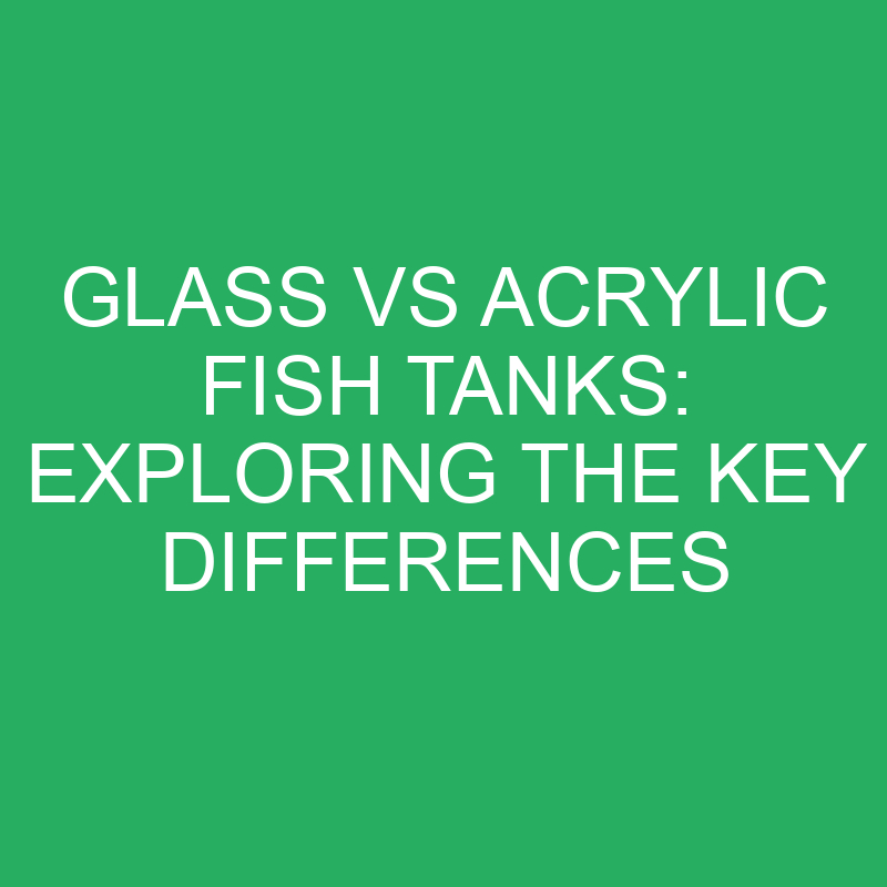 glass vs acrylic fish tanks exploring the key differences 12105