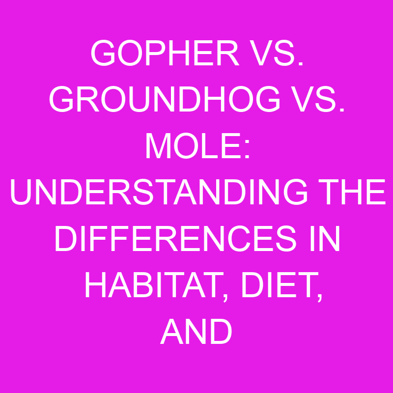 gopher vs groundhog vs mole understanding the differences in habitat diet and behavior 11948