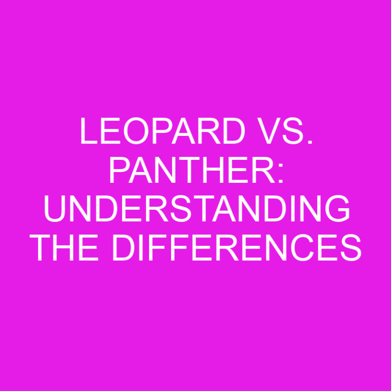 Leopard vs. Panther: Understanding the Differences