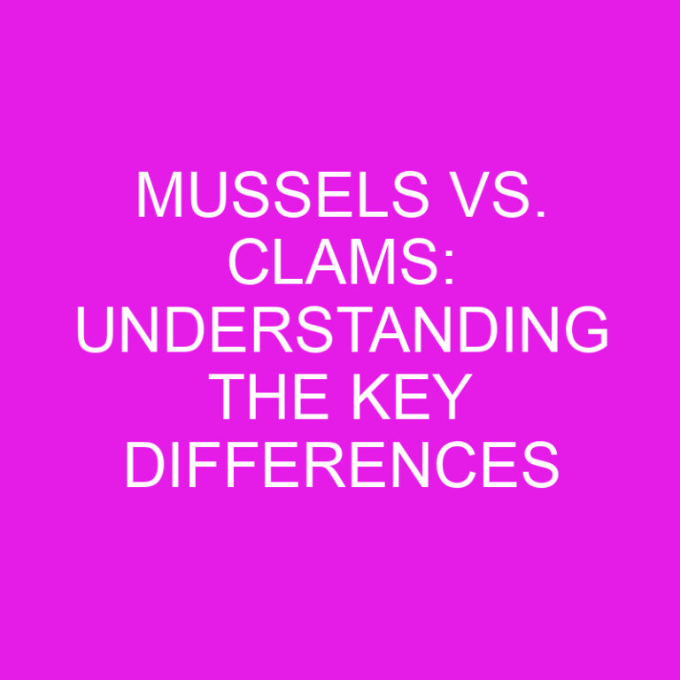 Mussels vs. Clams: Understanding the Key Differences