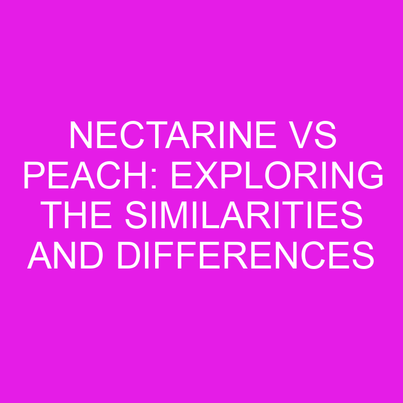 nectarine vs peach exploring the similarities and differences 11967