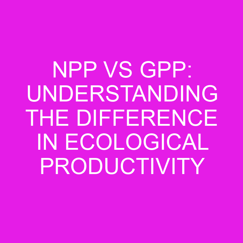 npp vs gpp understanding the difference in ecological productivity 11945