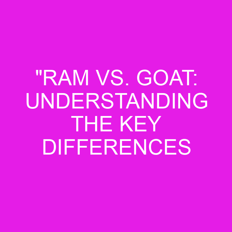 ram vs goat understanding the key differences 11960