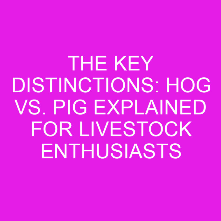 The Key Distinctions: Hog vs. Pig Explained for Livestock Enthusiasts