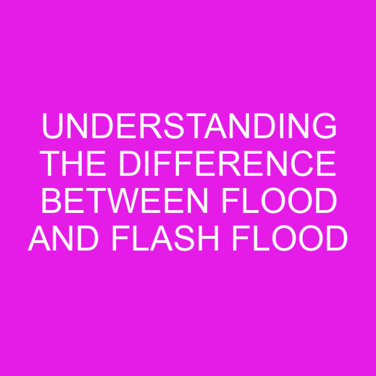 Understanding the Difference Between Flood and Flash Flood
