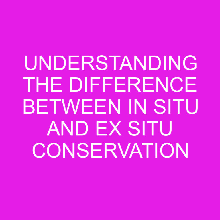 Understanding the Difference Between In Situ and Ex Situ Conservation