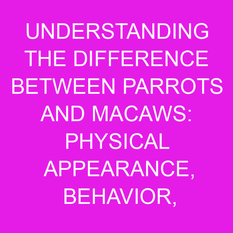 Parrots and Macaws: Difference In Appearance, Behavior, and Habitat