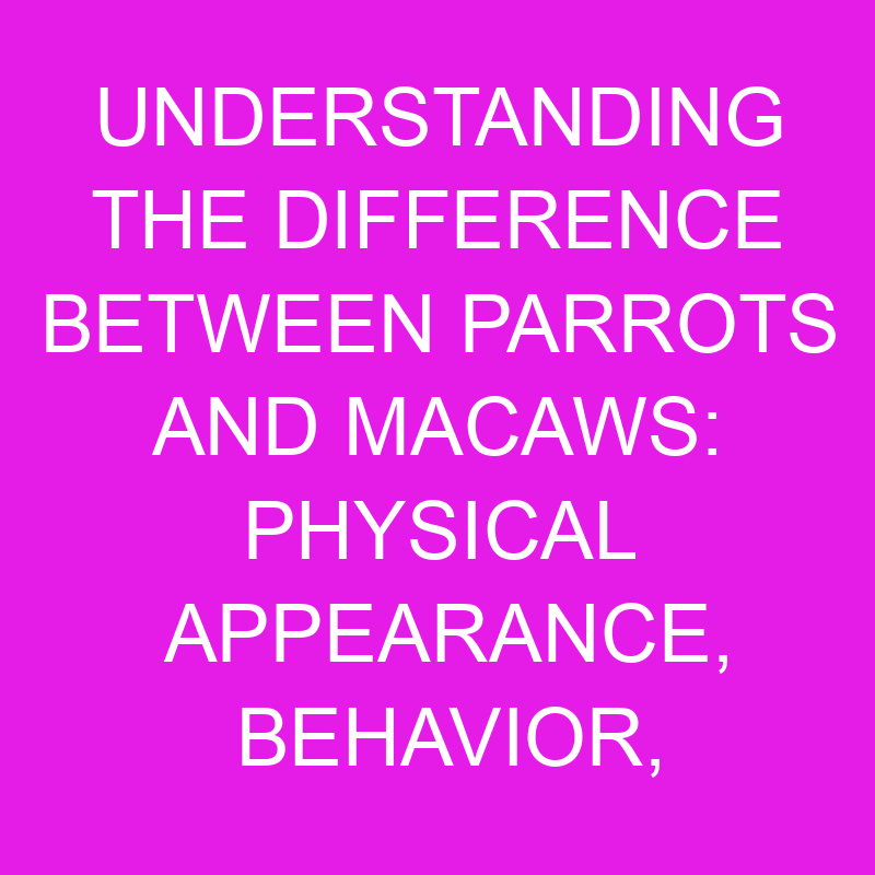 understanding the difference between parrots and macaws physical appearance behavior and habitat 11954