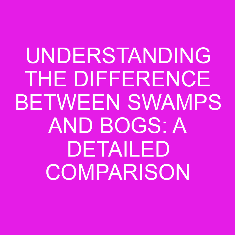 understanding the difference between swamps and bogs a detailed comparison 11984