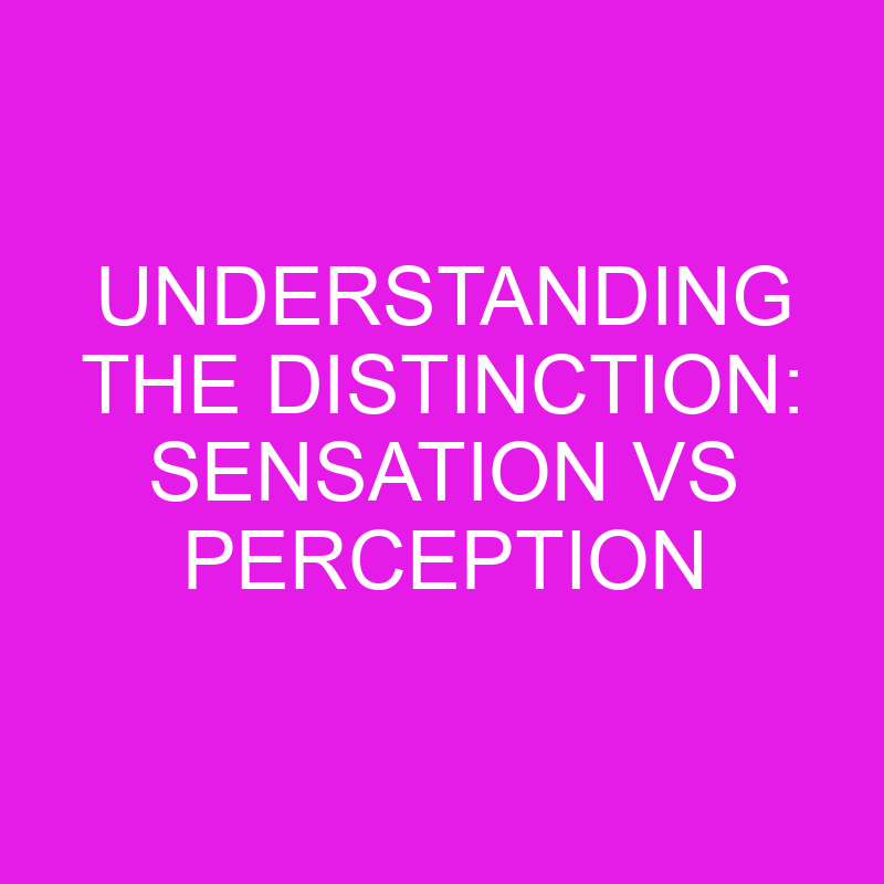 understanding the distinction sensation vs perception 10854