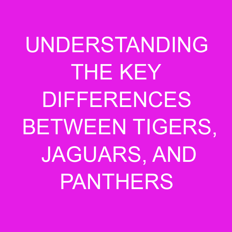 understanding the key differences between tigers jaguars and panthers 12009