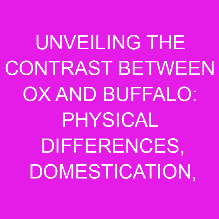 Contrast Between Ox and Buffalo: Physical Differences, Domestication and Behavior