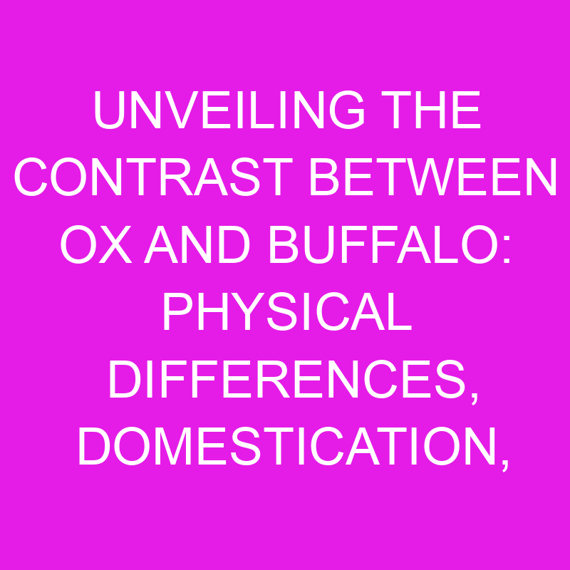 unveiling the contrast between ox and buffalo physical differences domestication behavior and cultural significance 11928